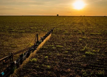 agropecuário, rural