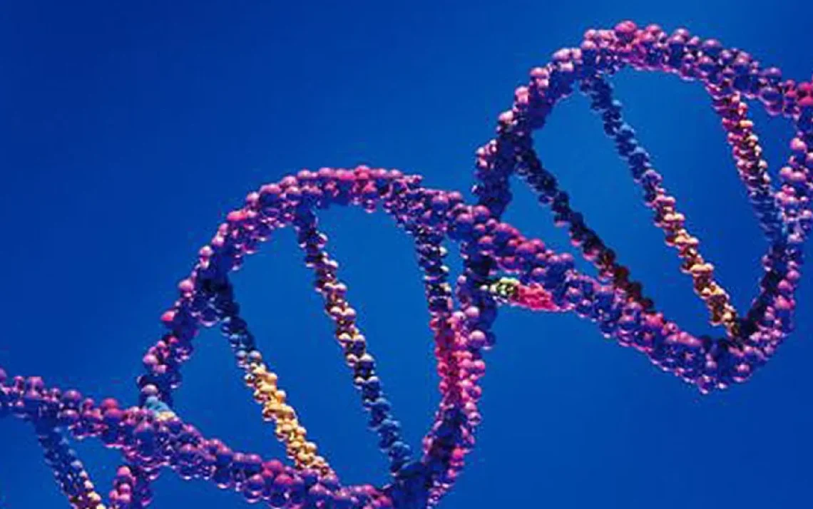 genética, análise do DNA, estudo genético