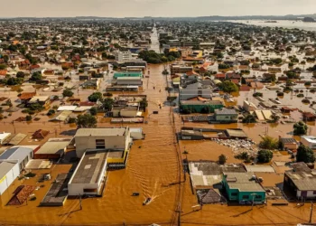 doença infecciosa febril, aguda, doença transmitida a partir da urina de animais;