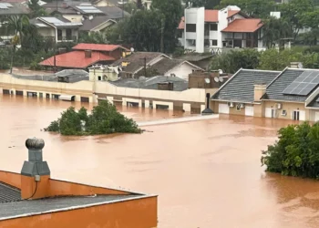 reparação, recuperação, reabilitação;