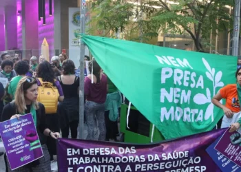 demonstrantes, protestantes, defensoras e defendentes dos serviços de aborto legal, Frente pela Legalização do Aborto do Estado de São Paulo (Cremesp);