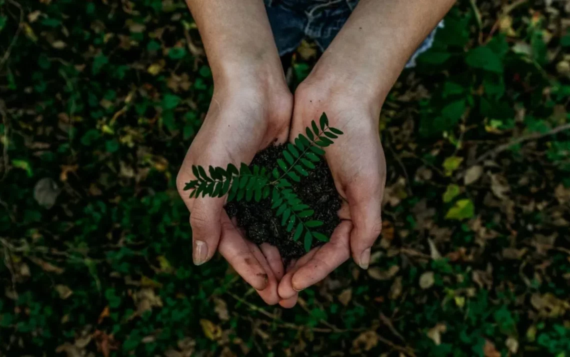 práticas, sustentáveis;