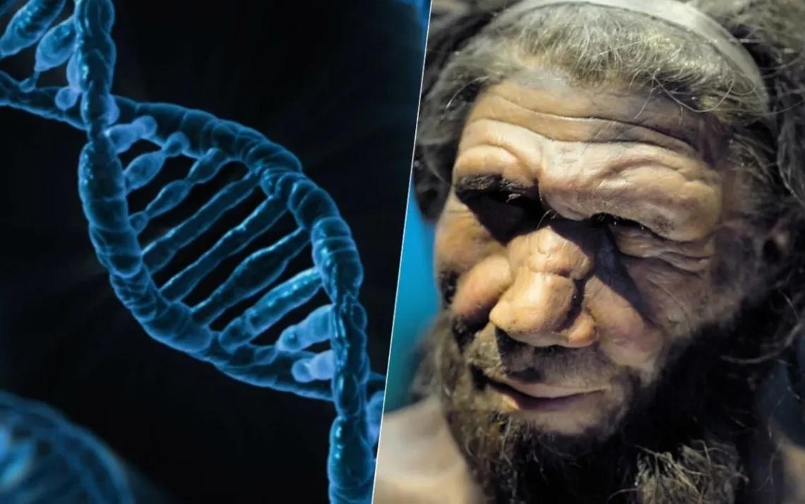 homem de Neandertal, Neandertais, genes Neandertal;