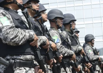 Força Nacional de, Segurança Pública;