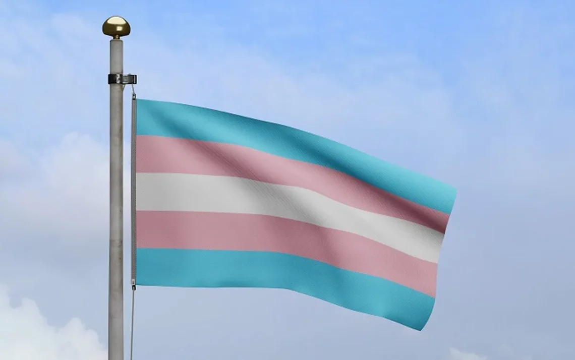 atendimento trans, políticas saúde trans, acesso saúde trans, saúde trans independente