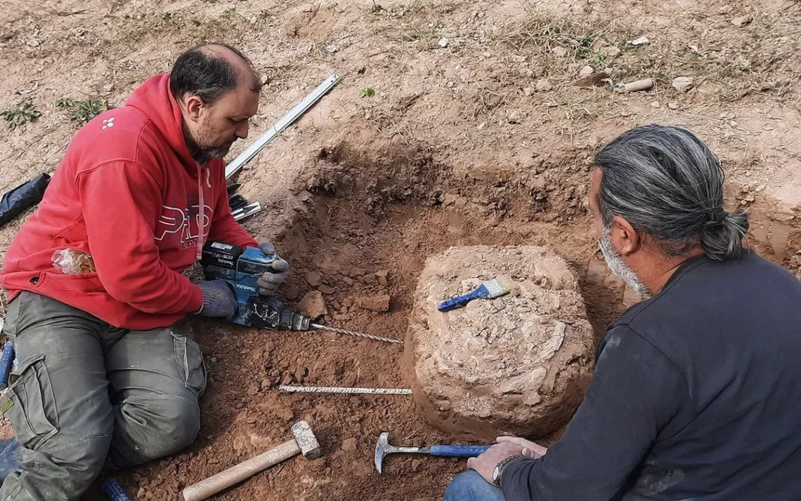 fossilizado, descoberto, achados;