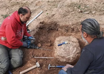 fossilizado, descoberto, achados;