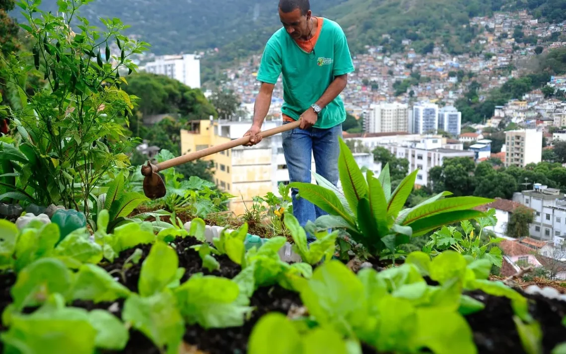 produção de alimentos;