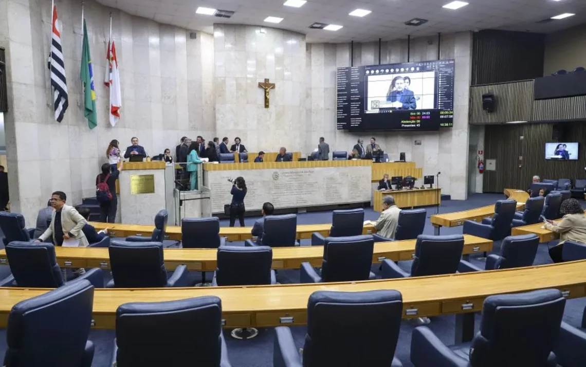 vereadoras, candidaturas, femininas, quantidade, de vereadoras;