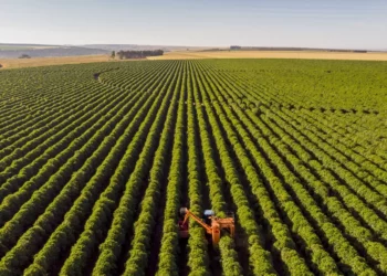 Plano, Plano Agrícola;