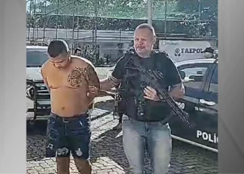 Grupo, armado, Organização, criminosa, Grupo, paramilitar;