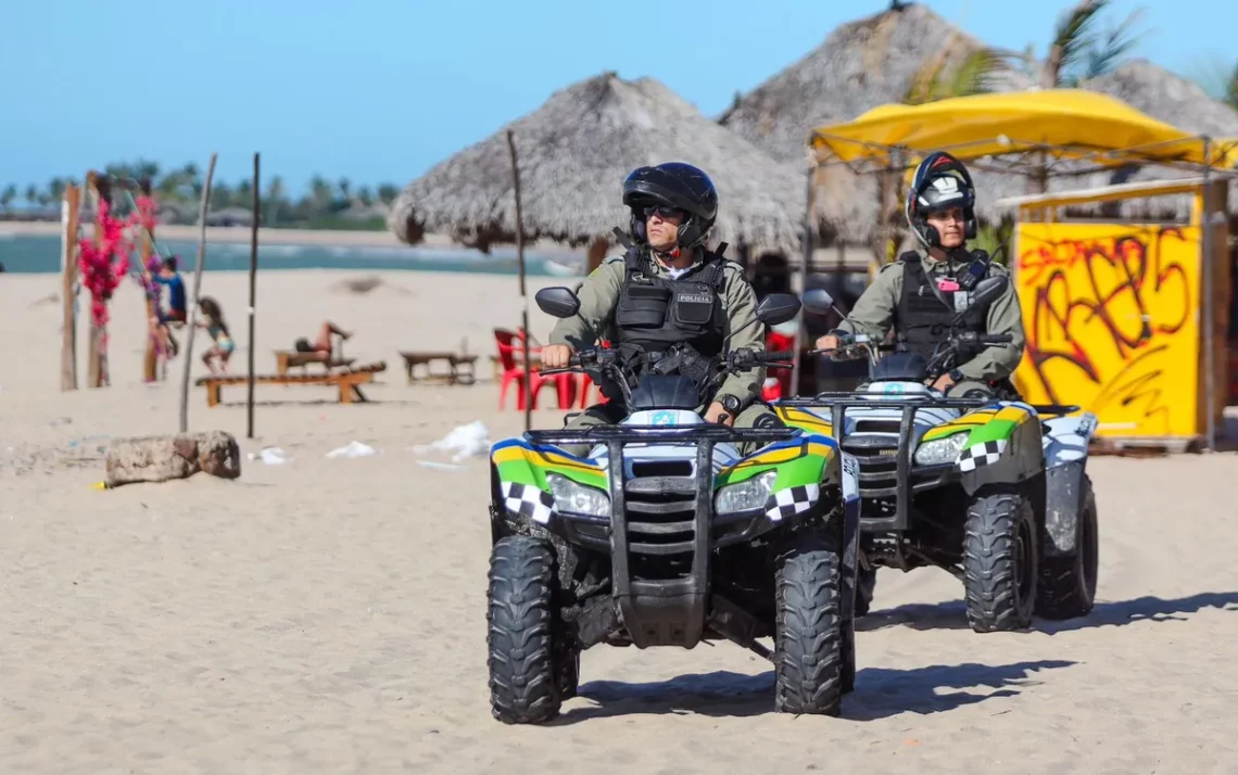 operação, policial;